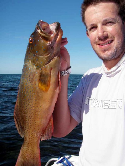 Speared 57cm Gulf trout